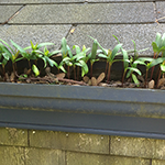 Gutters